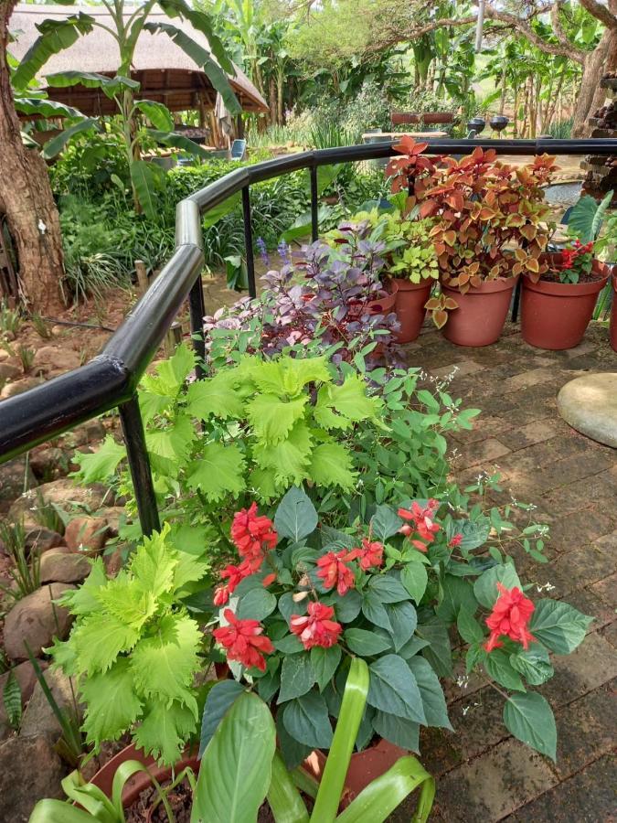Ascot Bush Lodge Pietermaritzburg Exterior foto