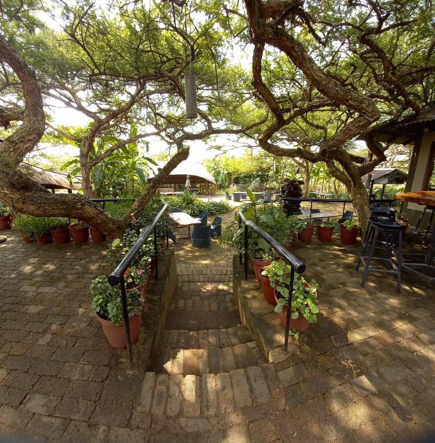 Ascot Bush Lodge Pietermaritzburg Exterior foto