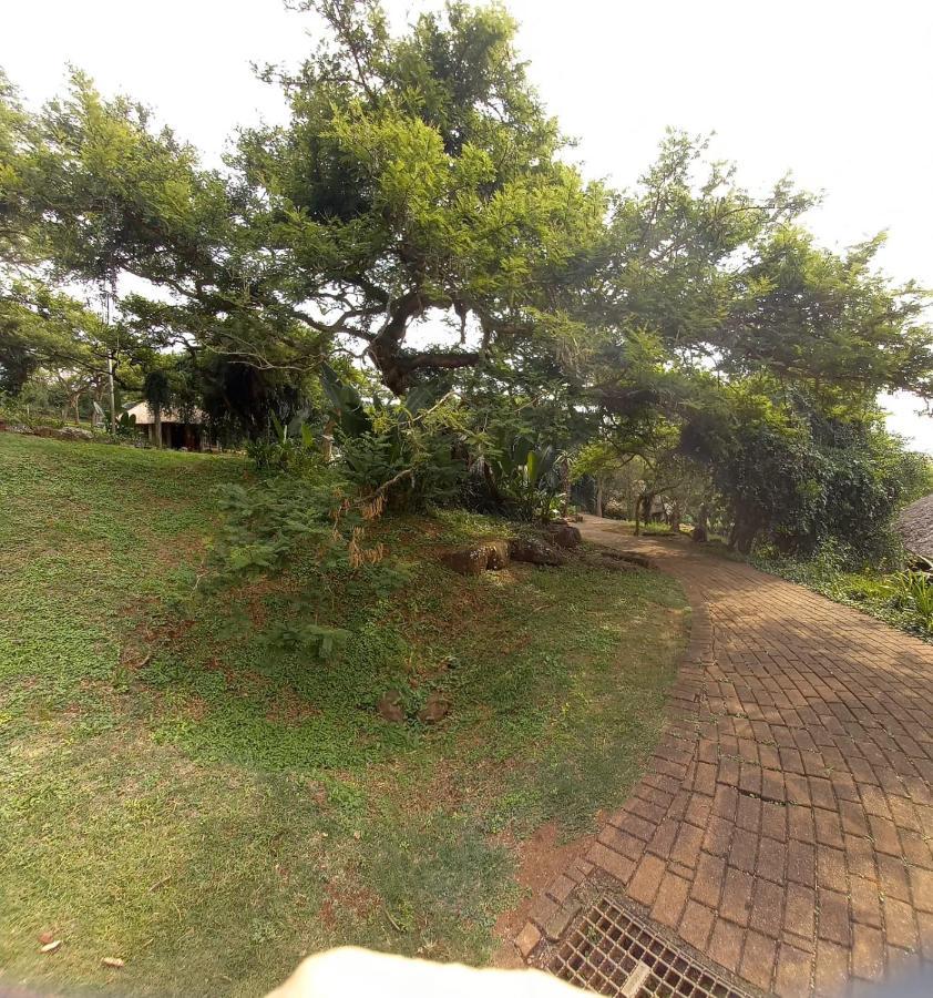 Ascot Bush Lodge Pietermaritzburg Exterior foto