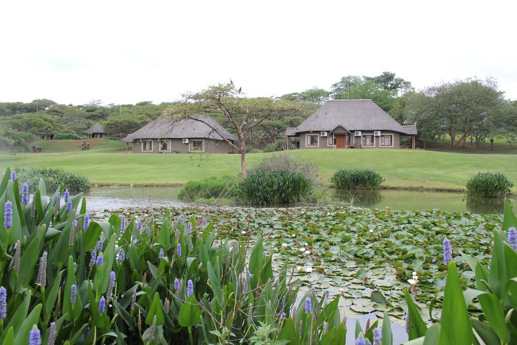Ascot Bush Lodge Pietermaritzburg Exterior foto